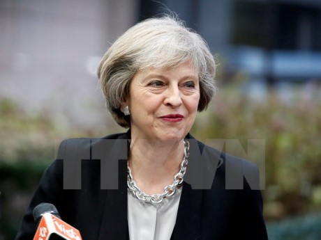 Der britische Währungsmarkt schwankt stark - ảnh 1